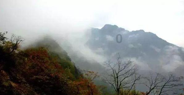 枪血黑手党
