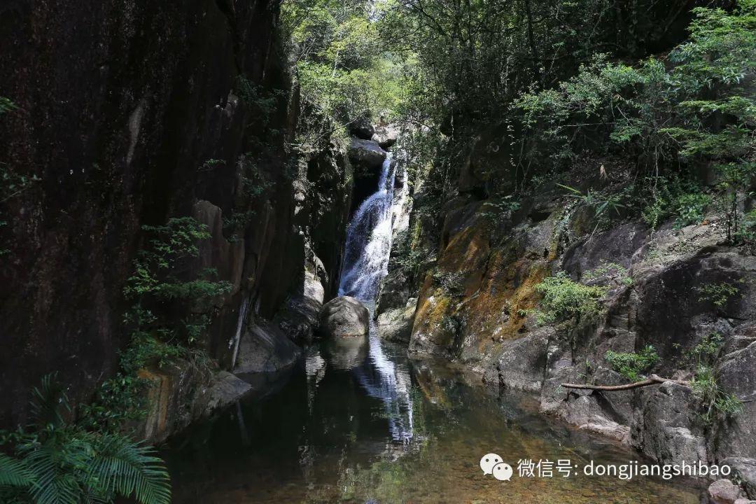 行动教育：深耕企业管理培训，疫后复苏业绩高增